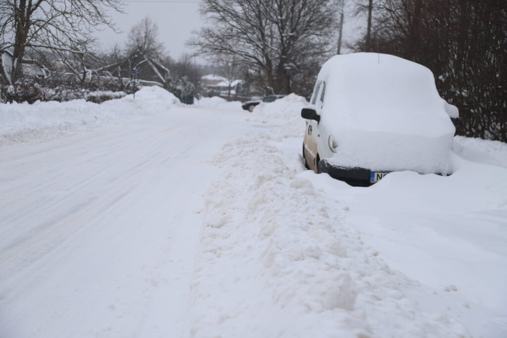 Autors: Foto: Gatis Bogdanovs