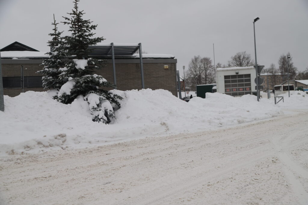 Autors: Foto: Gatis Bogdanovs