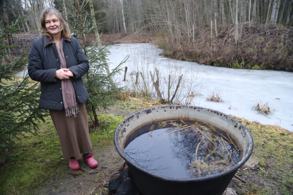 Aluksniesiem.lv raksta attēla aizvietotājs