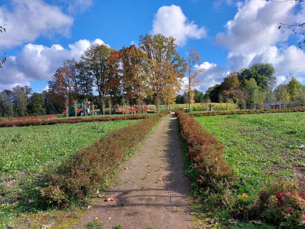 Autors: Foto: Pārsla Konrāde