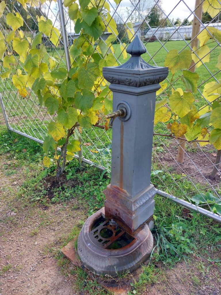 Autors: Foto: Pārsla Konrāde