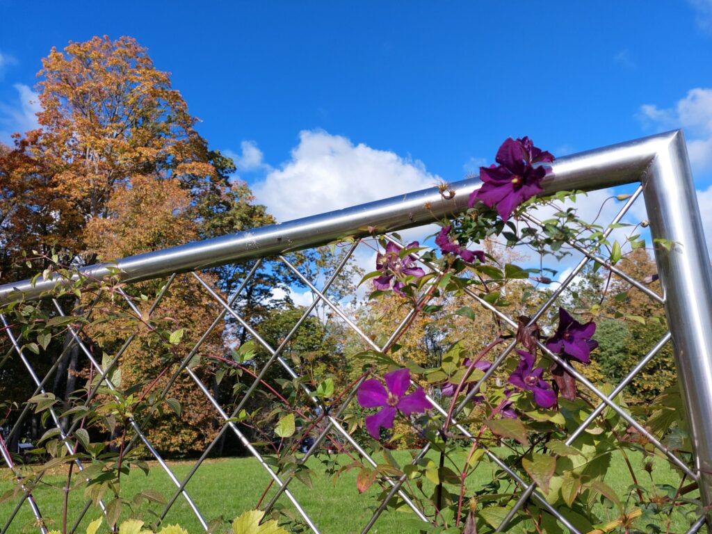 Autors: Foto: Pārsla Konrāde