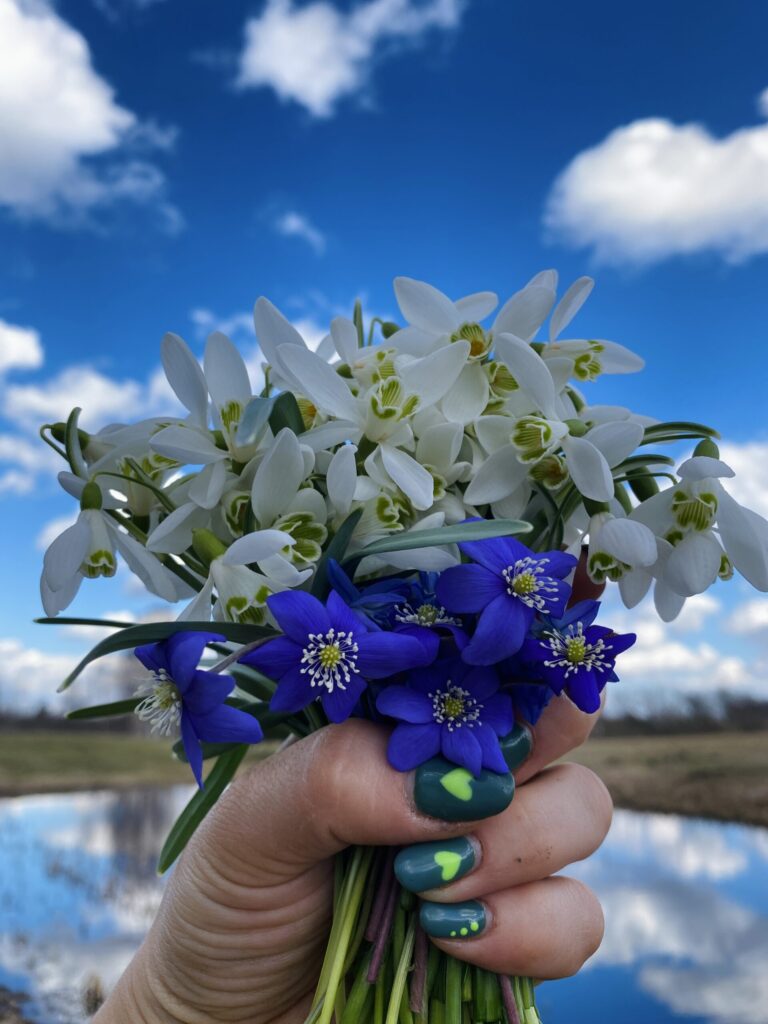 Autors: Foto iesūtījusi Kintija Bačka