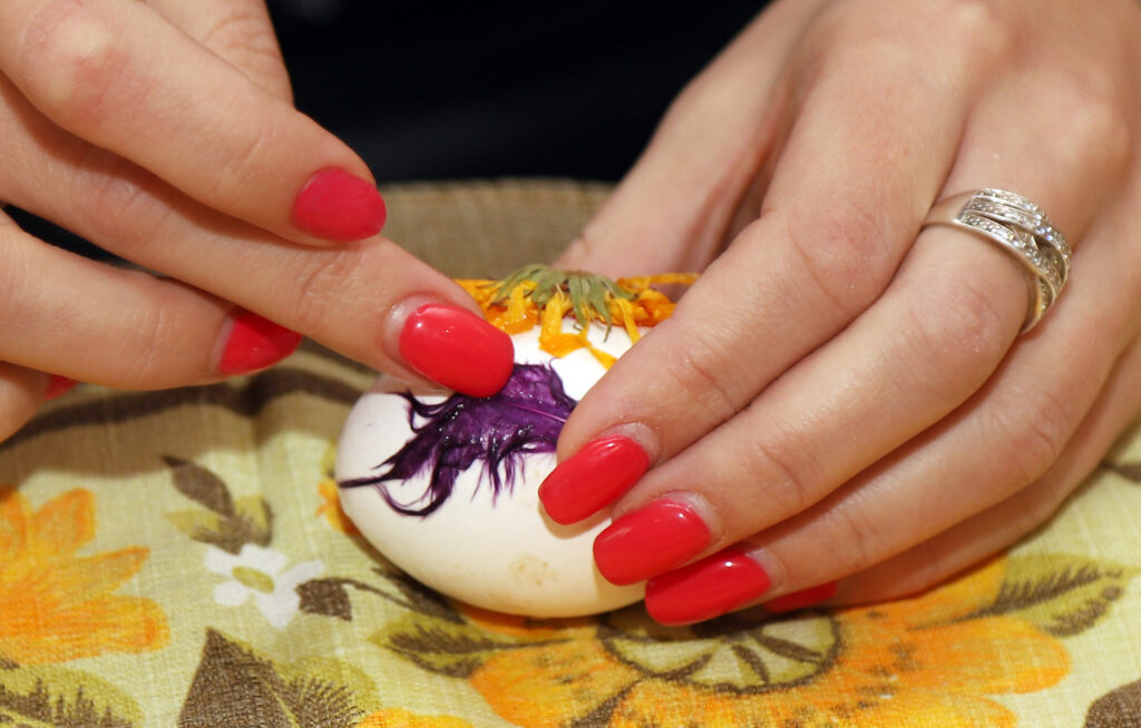 Autors: Foto: Gatis Bogdanovs