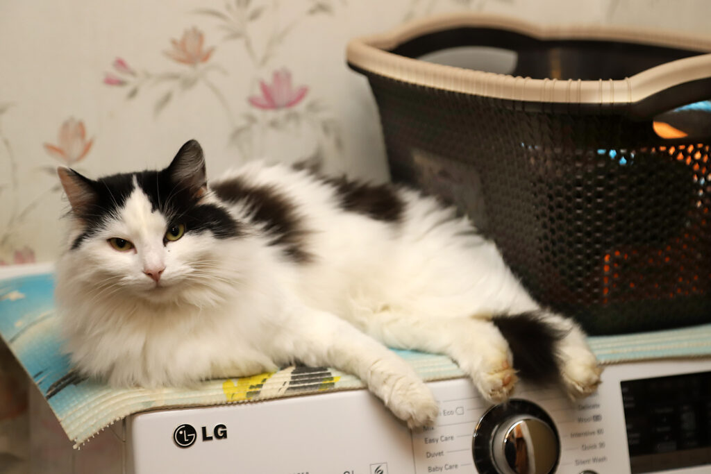 Sīkā.
Autors: Foto: Gatis Bogdanovs