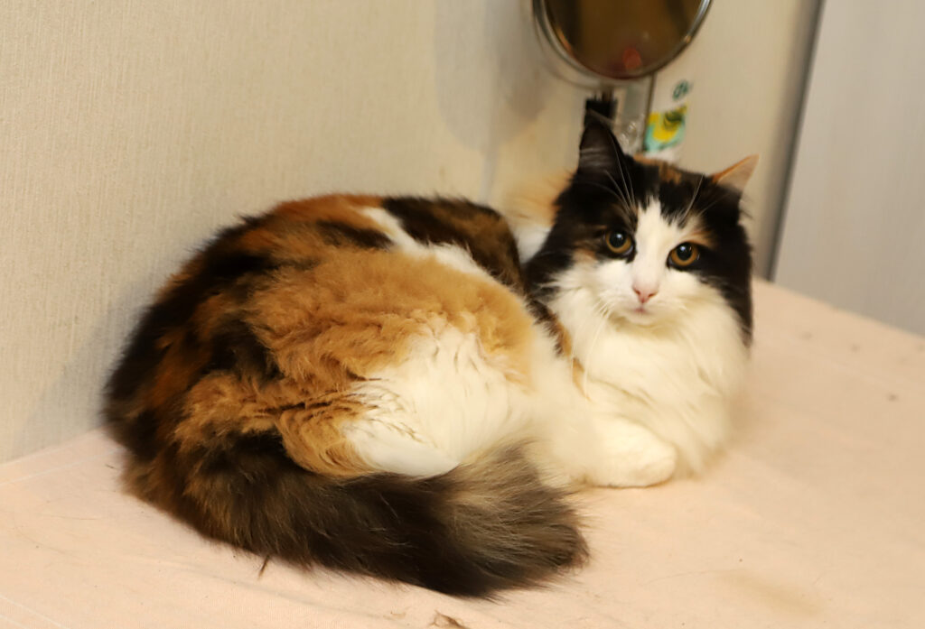 Grieta.
Autors: Foto: Gatis Bogdanovs