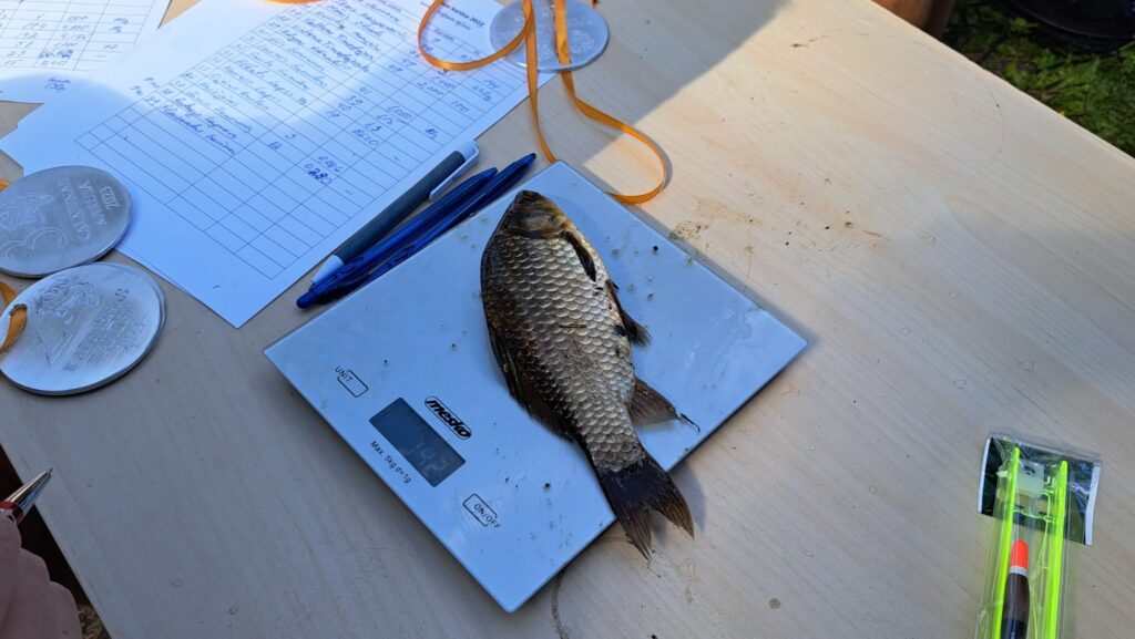 Autors: Foto: no organizatoru arhīva.