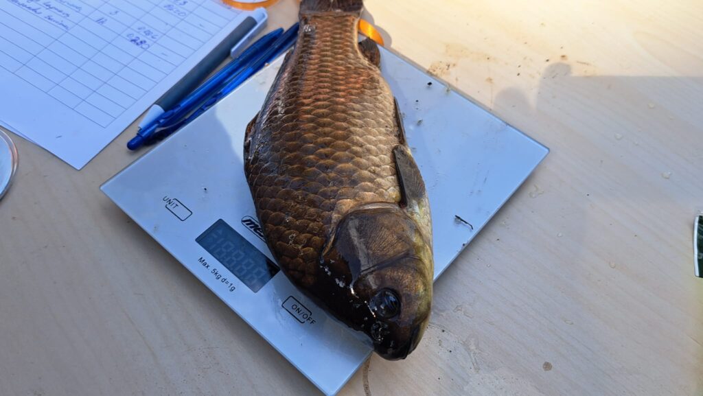 Autors: Foto: no organizatoru arhīva.