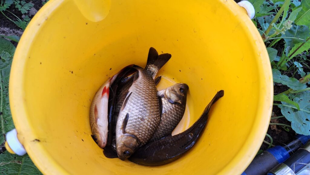 Autors: Foto: no organizatoru arhīva.