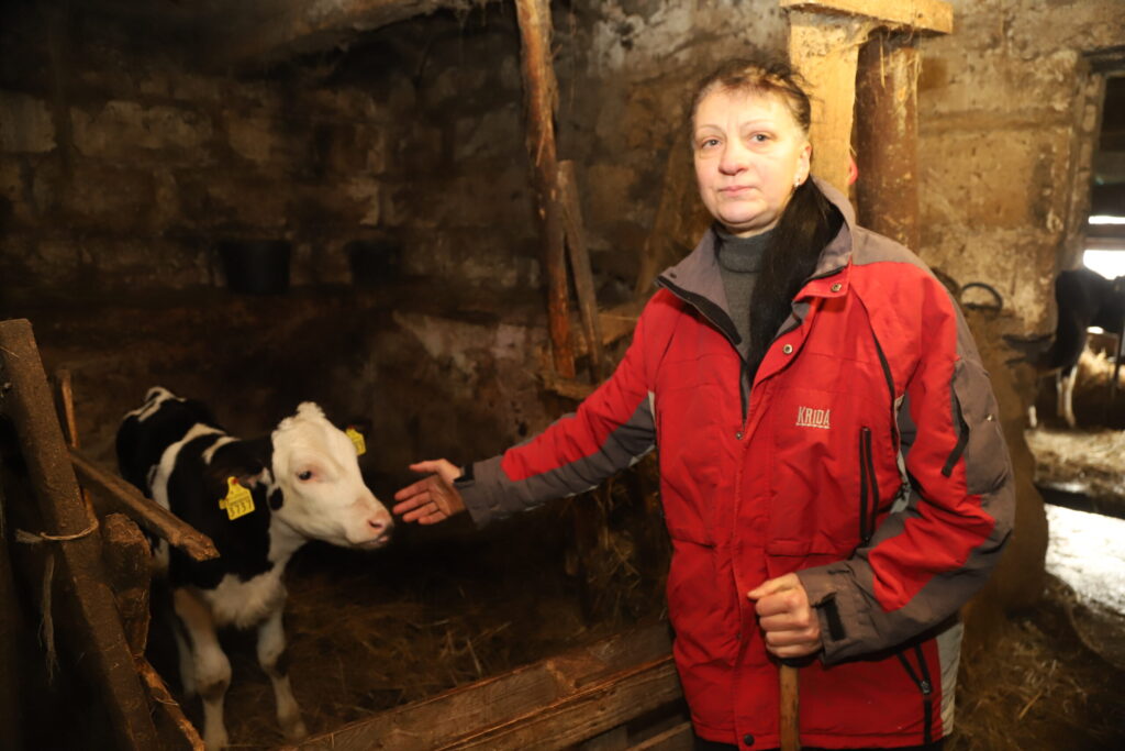 TELES PALIEK PAŠIEM, bullīši tiek nodoti.
Autors: Foto: Gatis Bogdanovs