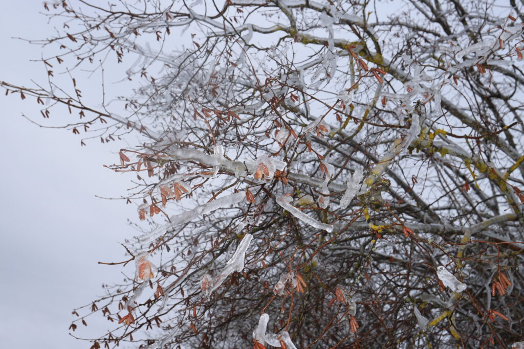 Autors: Foto: Gatis Bogdanovs