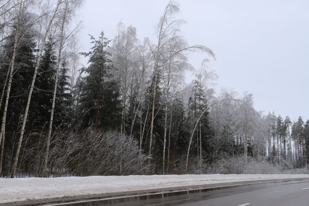 Autors: Foto: Gatis Bogdanovs