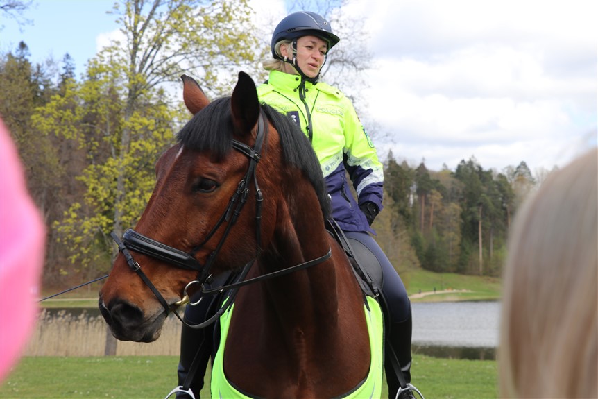 Autors: Foto: "Alūksniešiem.lv"