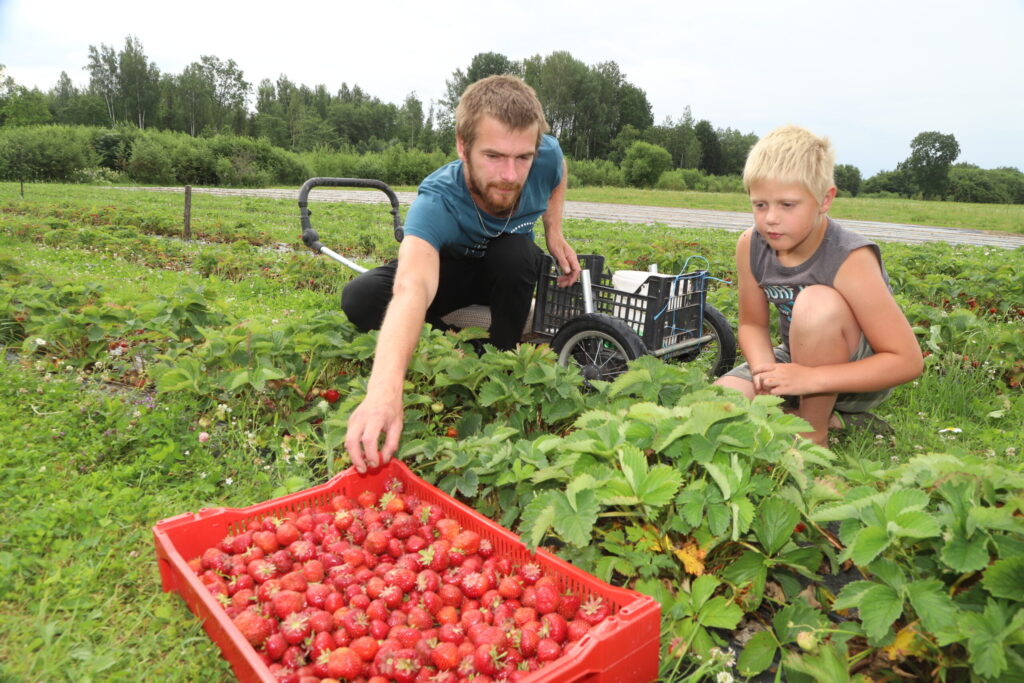 Aluksniesiem.lv raksta attēla aizvietotājs