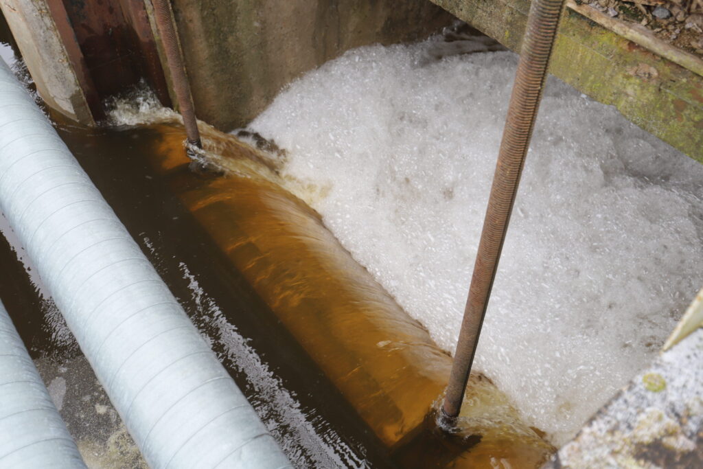 Autors: Foto: Gatis Bogdanovs