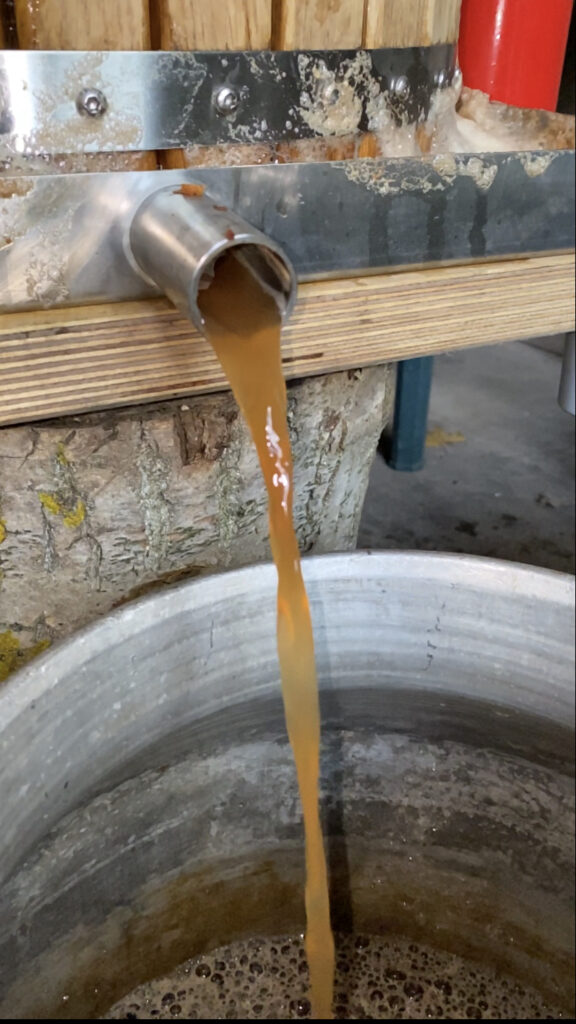 Autors: Foto: no privātā arhīva