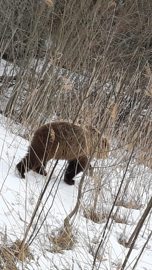 Autors: Sandra Resne.