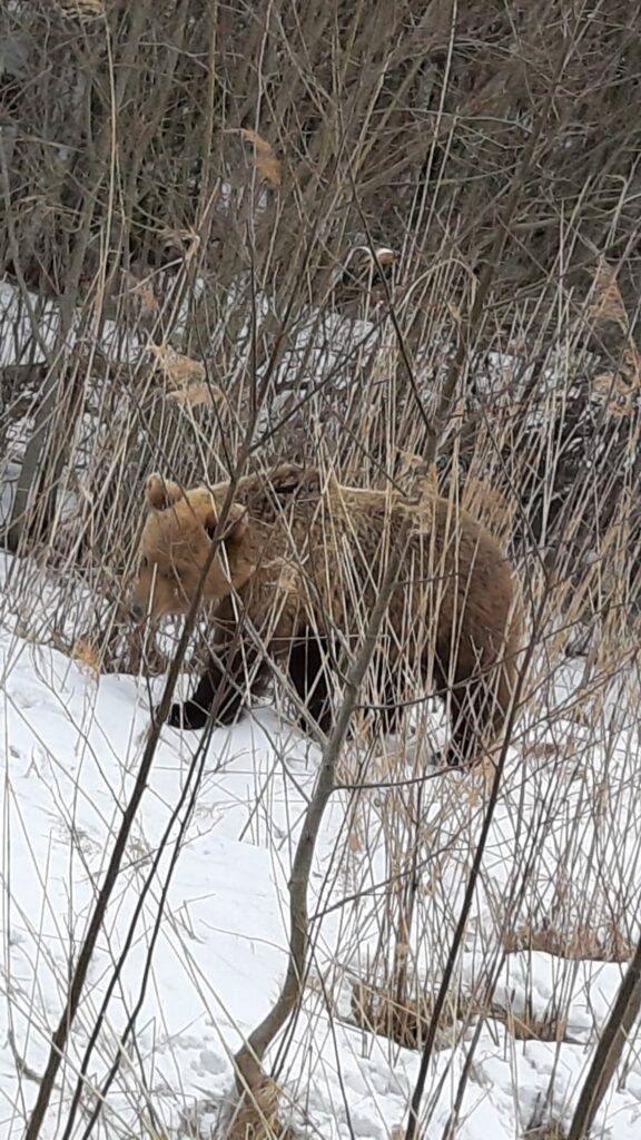 Autors: Sandra Resne.