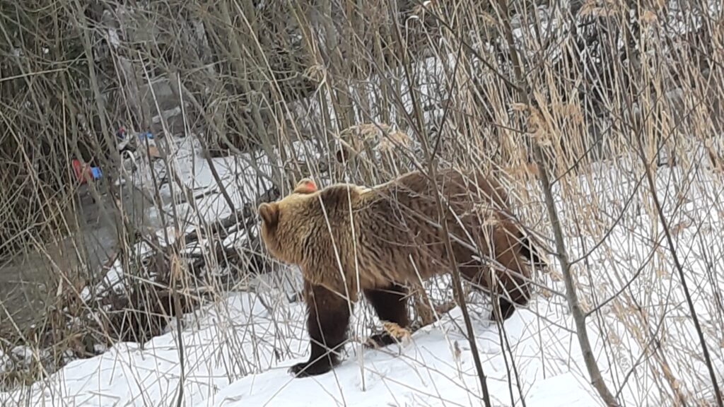 Autors: Sandra Resne.