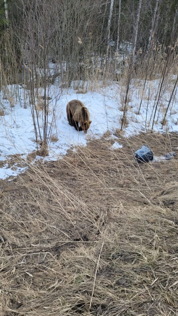 Autors: Sandra Resne.