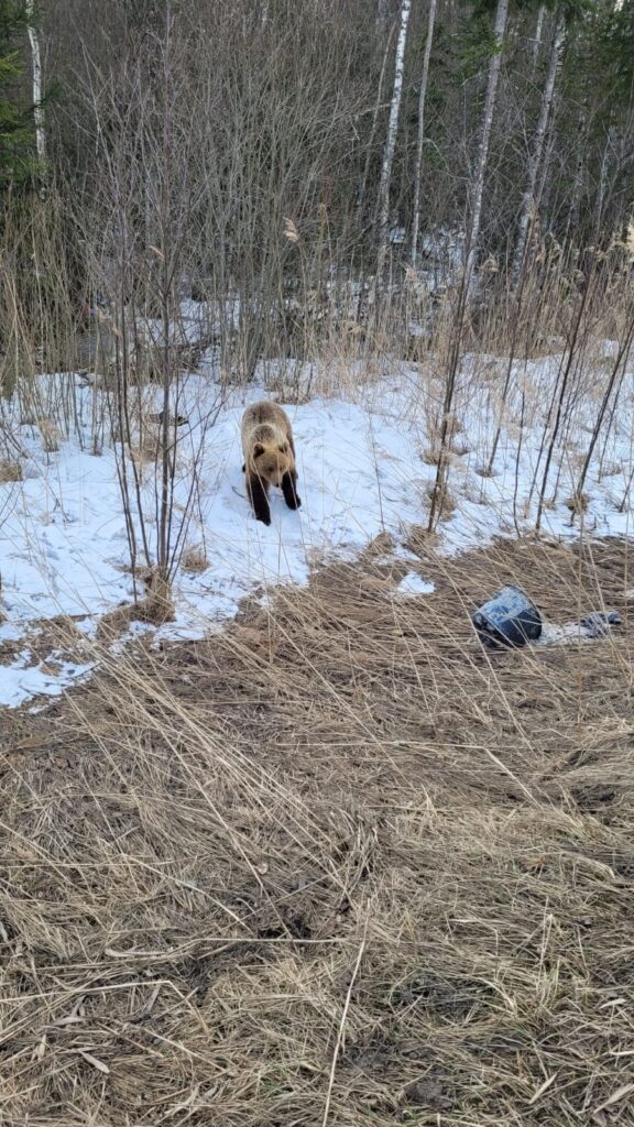 Autors: Sandra Resne.