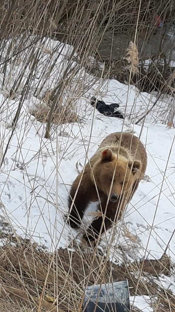 Autors: Sandra Resne.