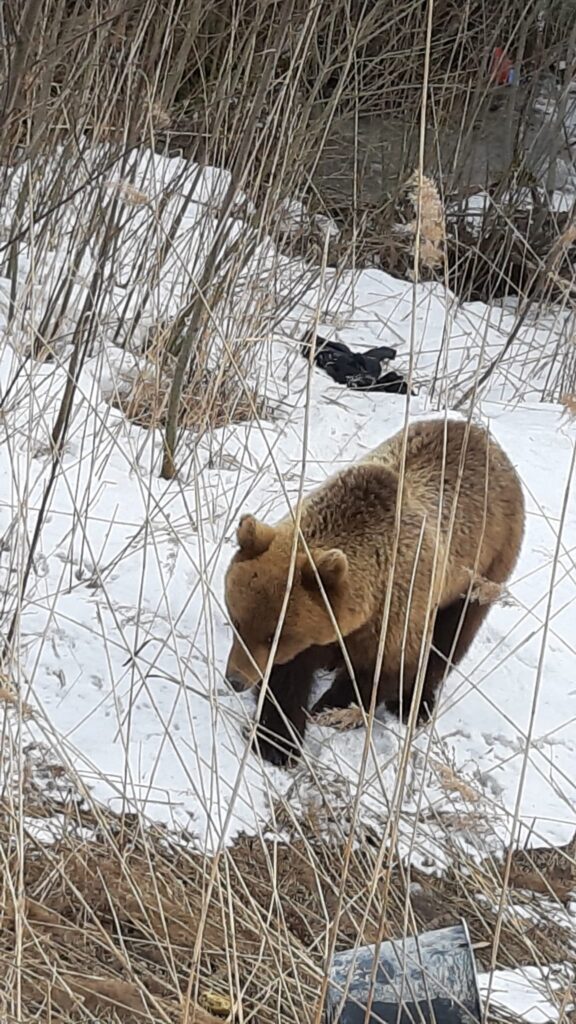 Autors: Sandra Resne.