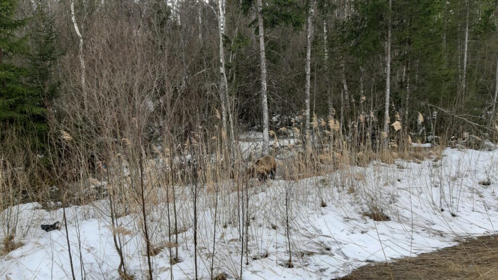 Autors: Sandra Resne.