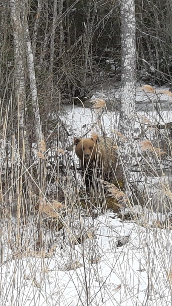 Autors: Sandra Resne.