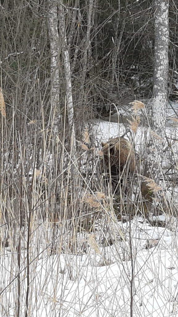 Autors: Sandra Resne.