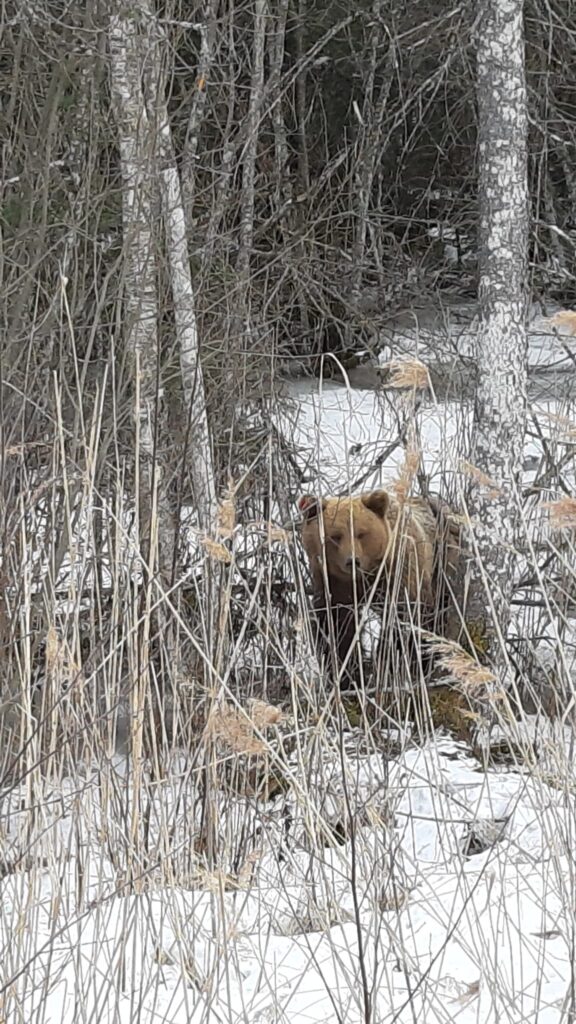 Autors: Sandra Resne.