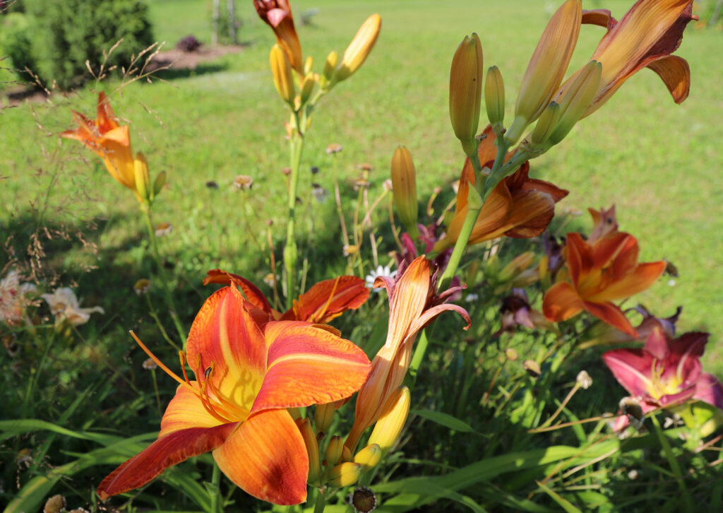 Autors: Foto: Gatis Bogdanovs