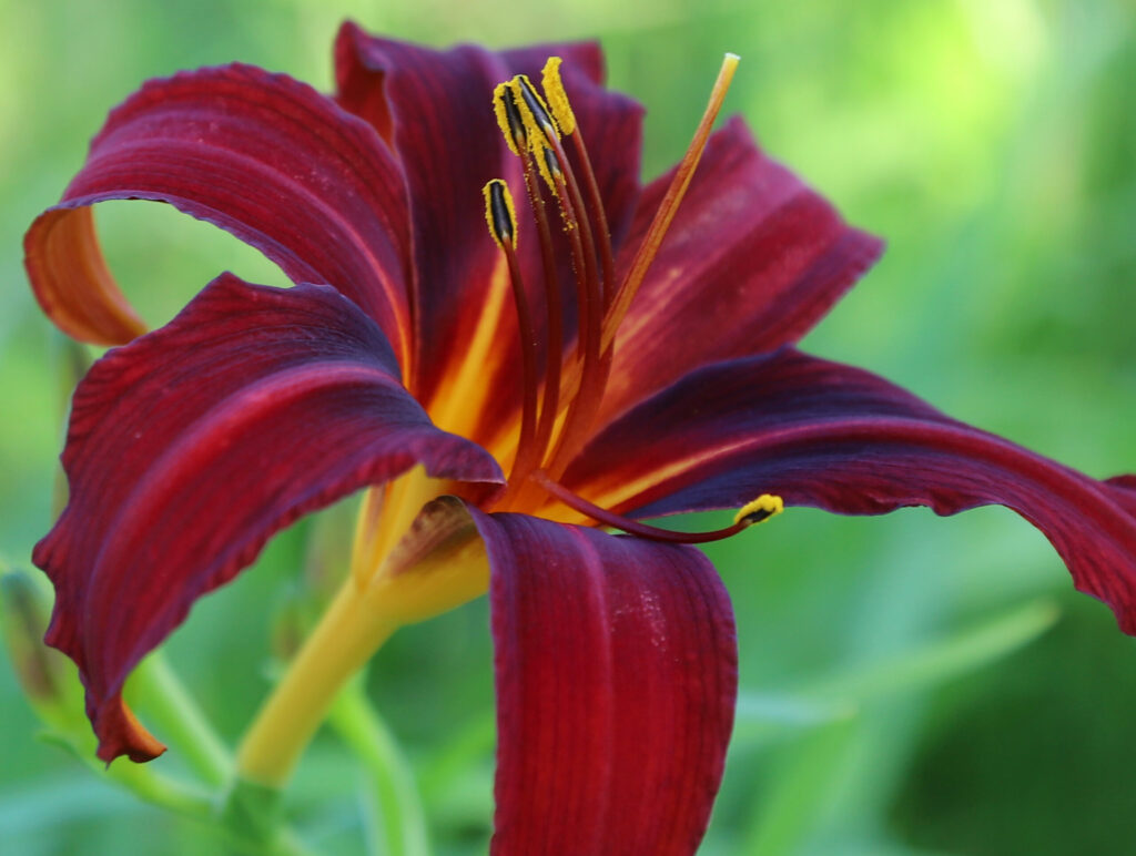 Autors: Foto: Gatis Bogdanovs