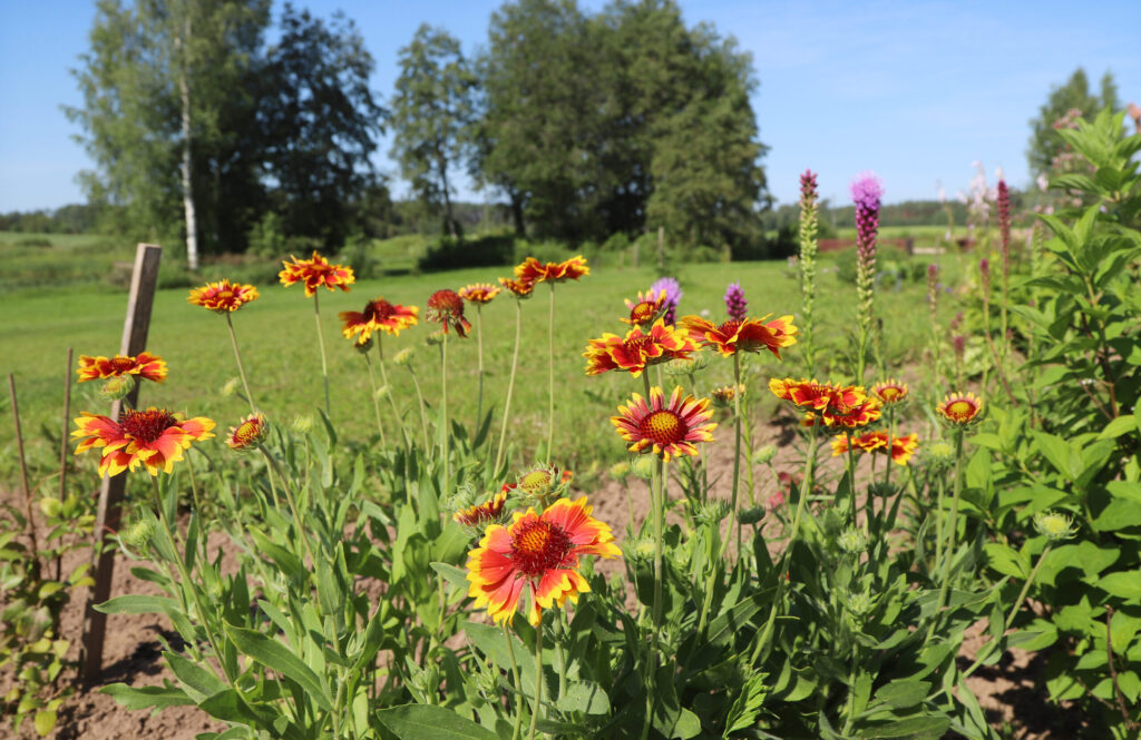 Autors: Foto: Gatis Bogdanovs