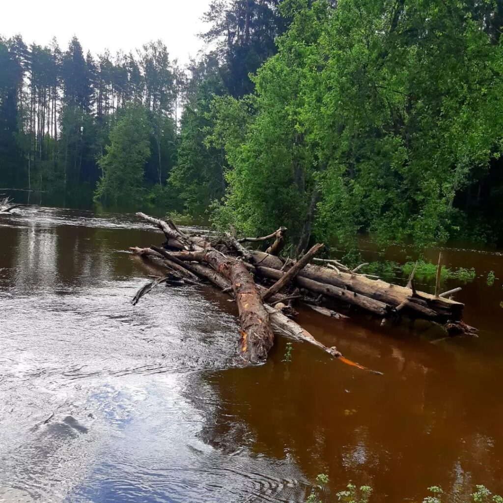 Autors: Foto: Rita Gargažina.