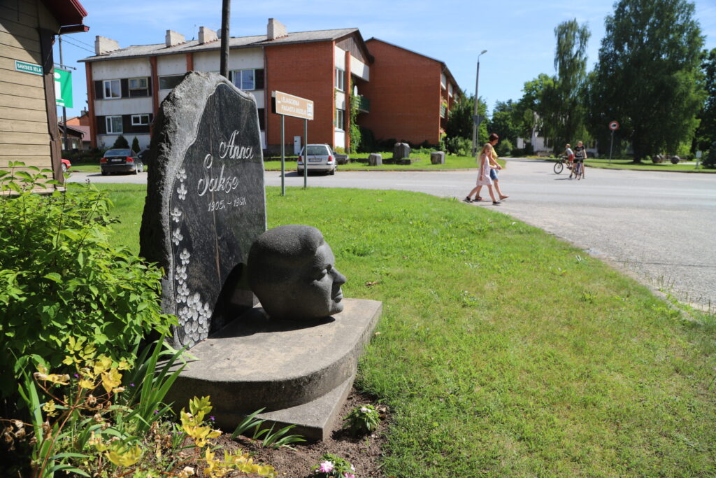 Aluksniesiem.lv raksta attēla aizvietotājs