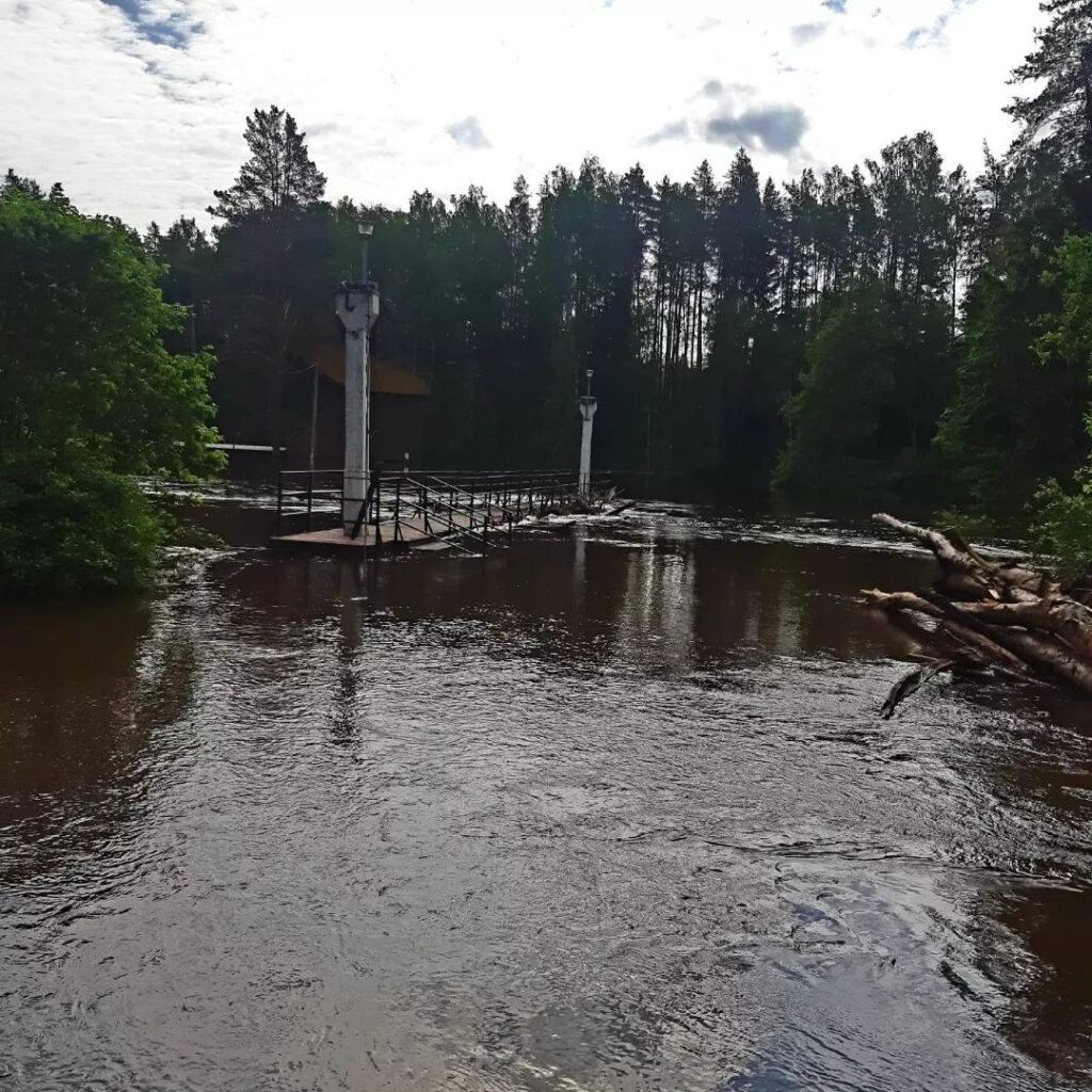 Autors: Foto: Rita Gargažina.