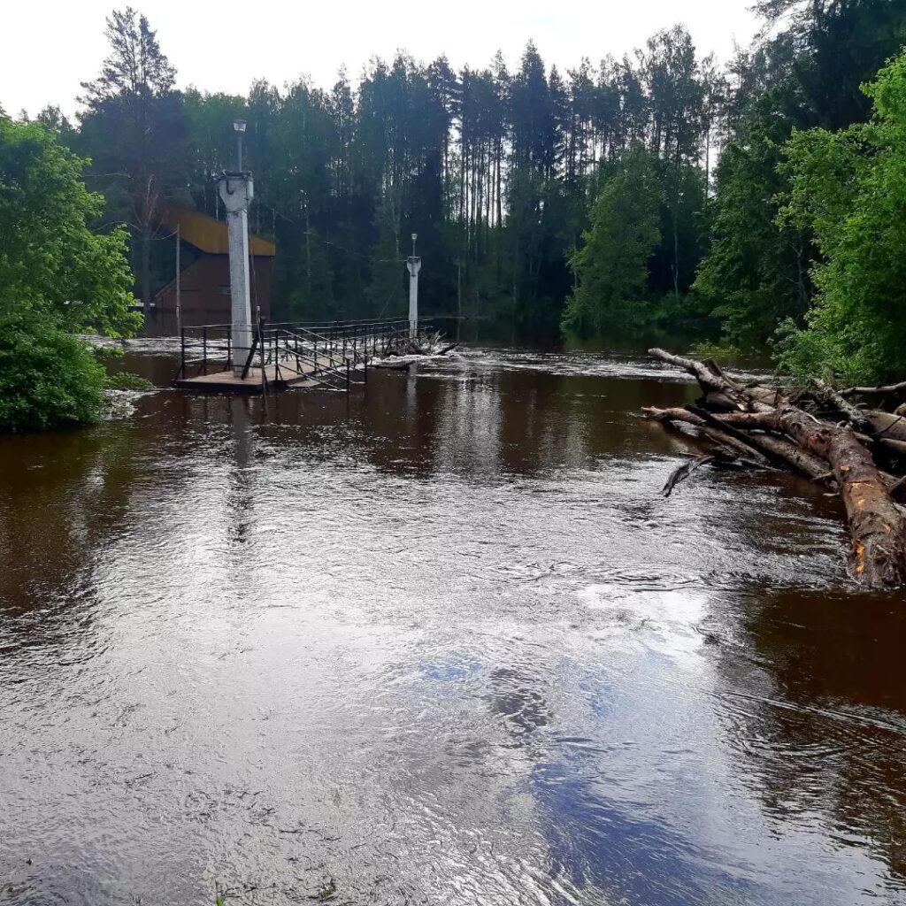 Autors: Foto: Rita Gargažina.