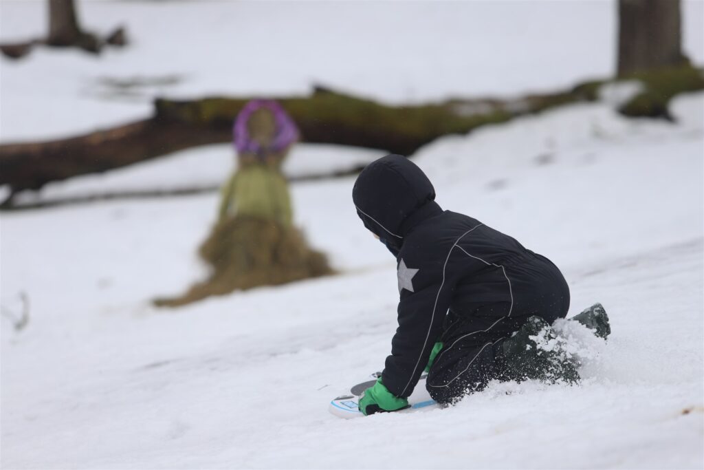 Autors: Foto: Gatis Bogdanovs