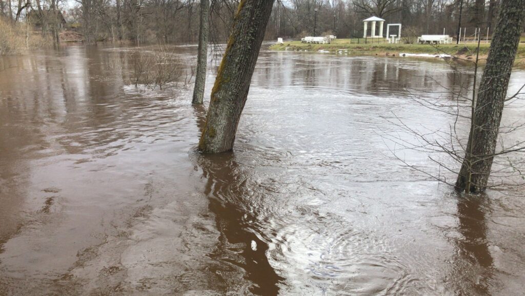 Autors: Foto iesūtījis Vilnis Lapiņš