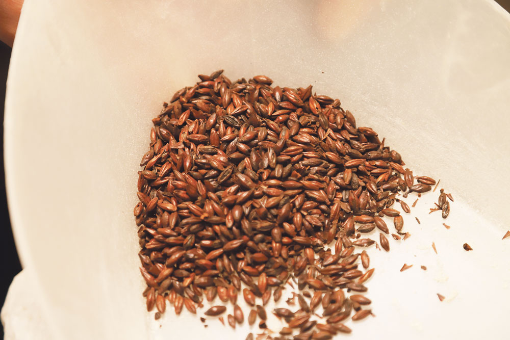 Iesals – diedzēti un atbilstošā temperatūrā žāvēti graudi.
Autors: Foto: Gatis Bogdanovs