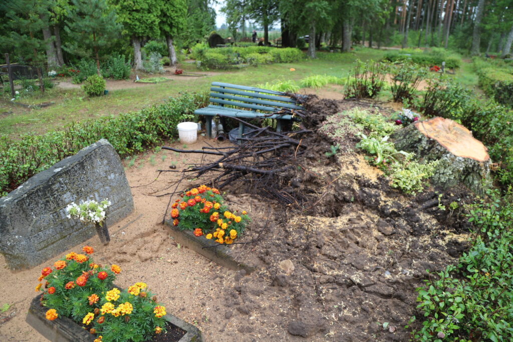 Lizuma kapi.
Autors: Foto: Gatis Bogdanovs