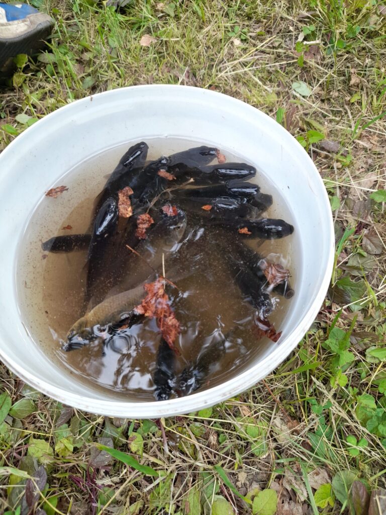 Autors: Foto: Inita Savicka