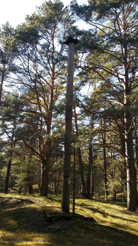 Mangaļsalas nocietinājumu teritorijā Rīgā pie Daugavas ietekas jūrā. Betona stabos bijuši zibensnovedēji.
Autors: Foto: Pārsla Konrāde