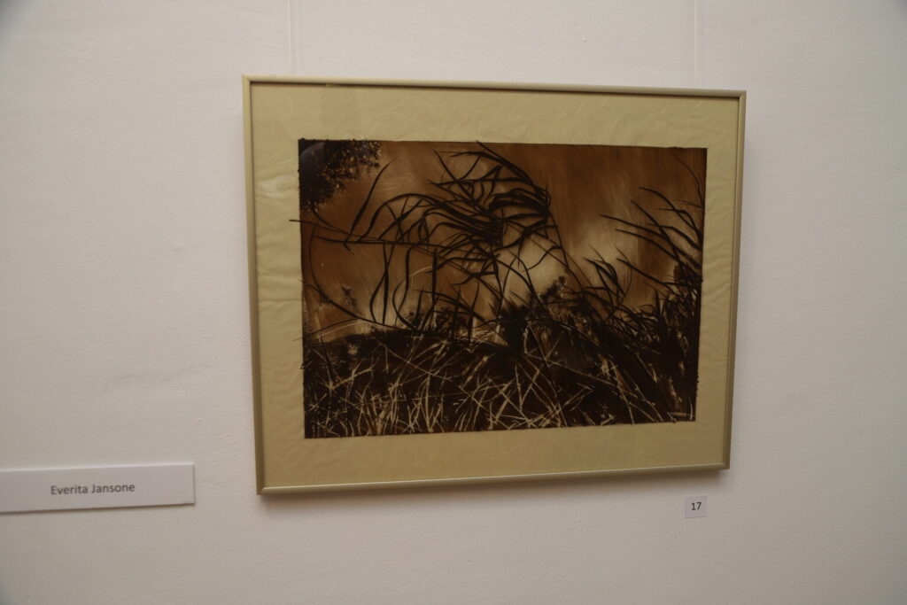 Autors: Foto: Gatis Bogdanovs