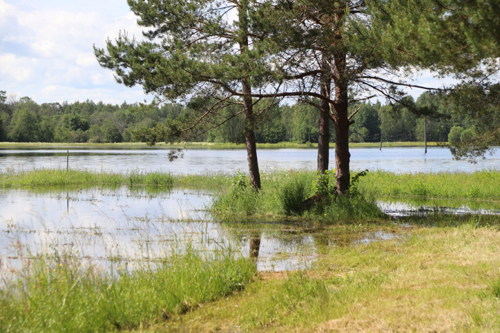 Autors: Gatis Bogdanovs