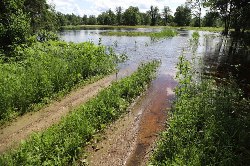Autors: Gatis Bogdanovs
