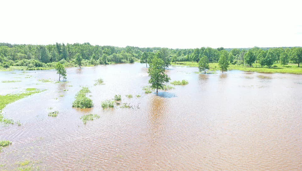 Autors: Foto: Jurijs Prokofjevs