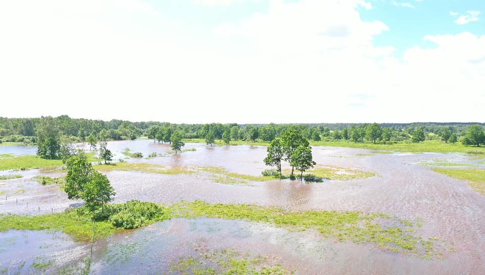 Autors: Foto: Jurijs Prokofjevs