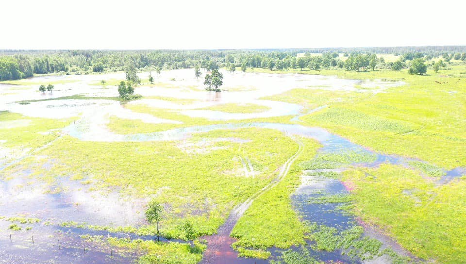 Autors: Foto: Jurijs Prokofjevs